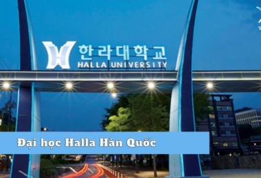 Tuyển sinh đại học Halla Hàn Quốc 2023