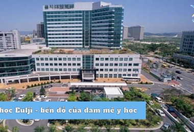Đại học Eulji – bến đỗ cho những bạn đam mê y học