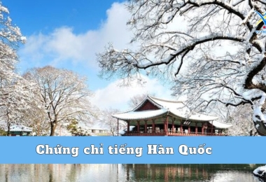 Chứng chỉ tiếng Hàn bạn nên sở hữu 