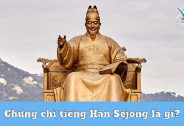 Chứng chỉ tiếng Hàn Sejong là gì? Khóa học Sejong hot nhất hiện nay