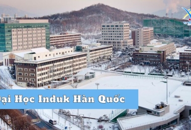 Đại học Induk – Nổi bật đào tạo Kiến trúc, Du lịch, Nghệ thuật
