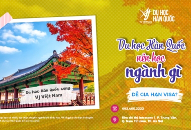 Du Học Hàn Quốc Nên Học Ngành Gì Dễ Gia Hạn Visa Nhất