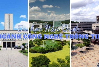 Du học Hàn Quốc ngành công nghệ thông tin nên hay không