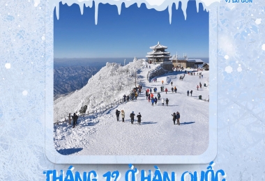 Du học Hàn Quốc tháng 12: Mùa lễ hội rực rỡ và những trải nghiệm mùa đông khó quên