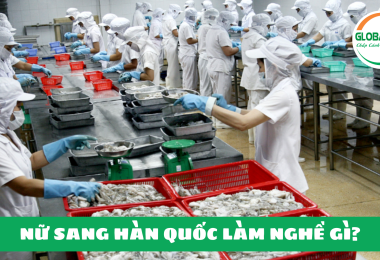 Nữ sang Hàn Quốc làm nghề gì?
