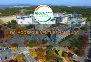 Đại học Seoul Venture Hàn Quốc – đại học hàng đầu Gangnam 