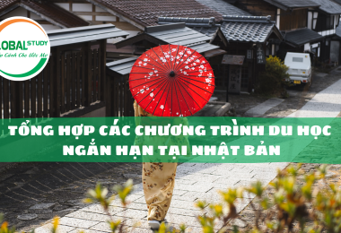 Tổng Hợp Các Chương Trình Du Học Ngắn Hạn Tại Nhật Bản