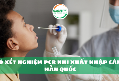 [HOT NEWS] – Bỏ xét nghiệm PCR khi xuất nhập cảnh Hàn Quốc