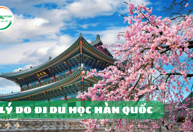 LÝ DO ĐI DU HỌC HÀN QUỐC 2023