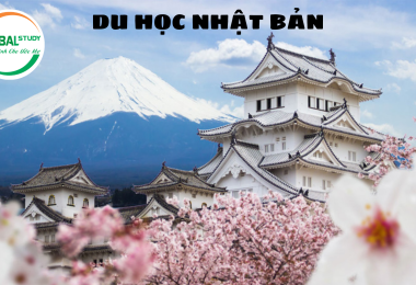 Du học Nhật Bản tại Kumamoto – Vùng đất của gấu Kumamon 