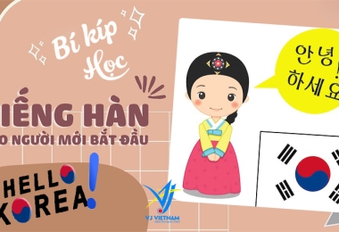 Kinh Nghiệm Học Tiếng Hàn Cho Người Mới Bắt Đầu Nhanh Và Hiệu Quả