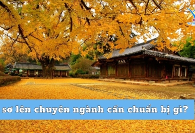Hồ sơ lên chuyên ngành cần chuẩn bị gì?