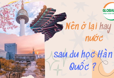 Nên Ở Lại Hay Về Nước Sau Du Học Hàn Quốc ?