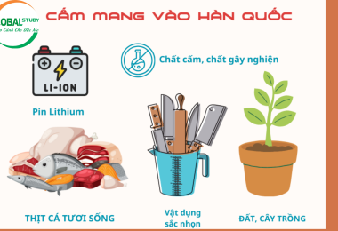 Những Thứ Bị Cấm Mang Vào Hàn Quốc  Bao Gồm Những Gì?