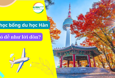 Thực Tế Săn Học Bổng Du Học Hàn: Có Dễ Như Lời Đồn?