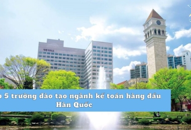 Top 5 trường đào tạo ngành kế toán hàng đầu Hàn Quốc 