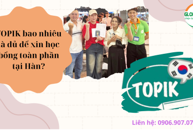 TOPIK Bao Nhiêu Là Đủ Để Xin Học Bổng Toàn Phần Tại Hàn?