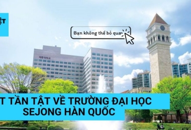 Tất tần tật về trường Đại học Sejong Hàn Quốc