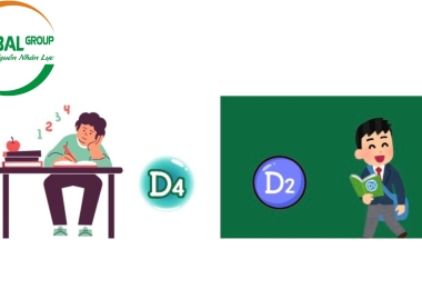 Phân Biệt Visa Du Học Hàn Quốc D4-1 và D2: Lộ Trình Nào Phù Hợp Với Bạn?