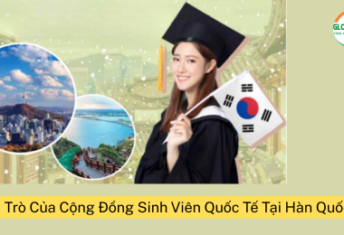 Vai Trò Của Các Cộng Đồng Sinh Viên Quốc Tế Trong Việc Hỗ Trợ Lẫn Nhau Tại Hàn Quốc