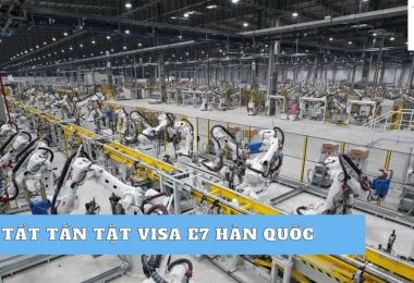 Visa E7 Hàn Quốc Tất Tần Tật Cùng Global Study