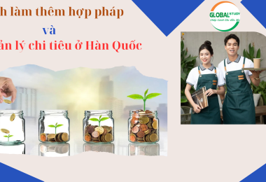 Cách Làm Thêm Hợp Pháp Và Quản Lý Chi Tiêu Ở Hàn Quốc