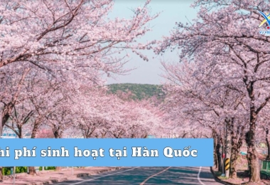 Chi phí sinh hoạt tại Hàn Quốc tổng hợp 2023