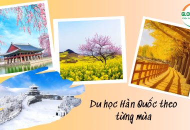 Hàn Quốc Mùa Nào Đẹp Nhất? Hành Trình Du Học Trọn Vẹn Theo Từng Mùa