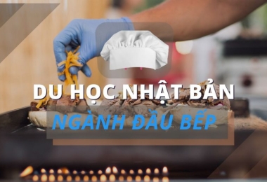 DU HỌC NHẬT BẢN, NGÀNH NGHỀ NÀO MANG LẠI NHIỀU CƠ HỘI