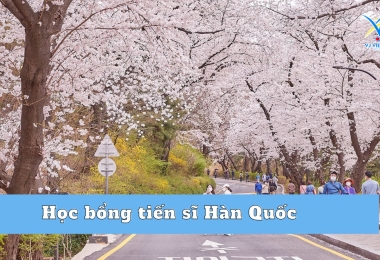 Học bổng tiến sĩ Hàn Quốc du học 0 đồng có thể sao?