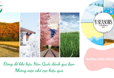 Đừng để khí hậu Hàn Quốc đánh gục bạn – Những mẹo nhỏ cực hiệu quả