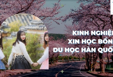 Kinh nghiệm xin học bổng du học Hàn Quốc 2023